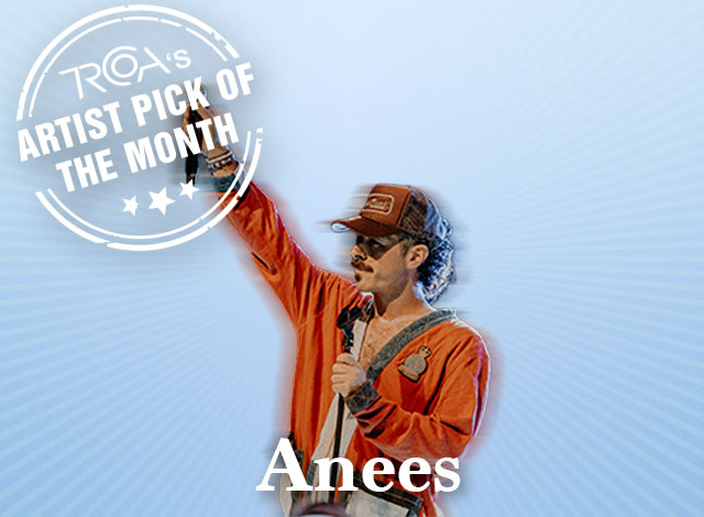 Anees - Artist of the Month